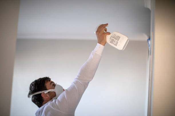 Best Black Mold Removal  in Belleville, KS