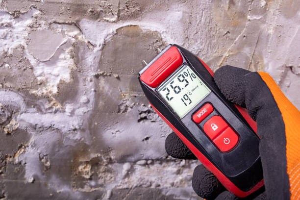 Best Professional Mold Removal  in Belleville, KS