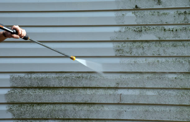 Best Mold Cleaning Services  in Belleville, KS
