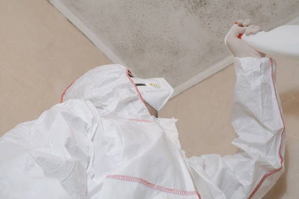 Best Home Mold Removal  in Belleville, KS