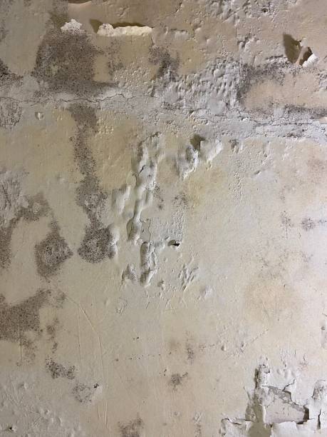 Water Damage Restoration in Belleville, KS
